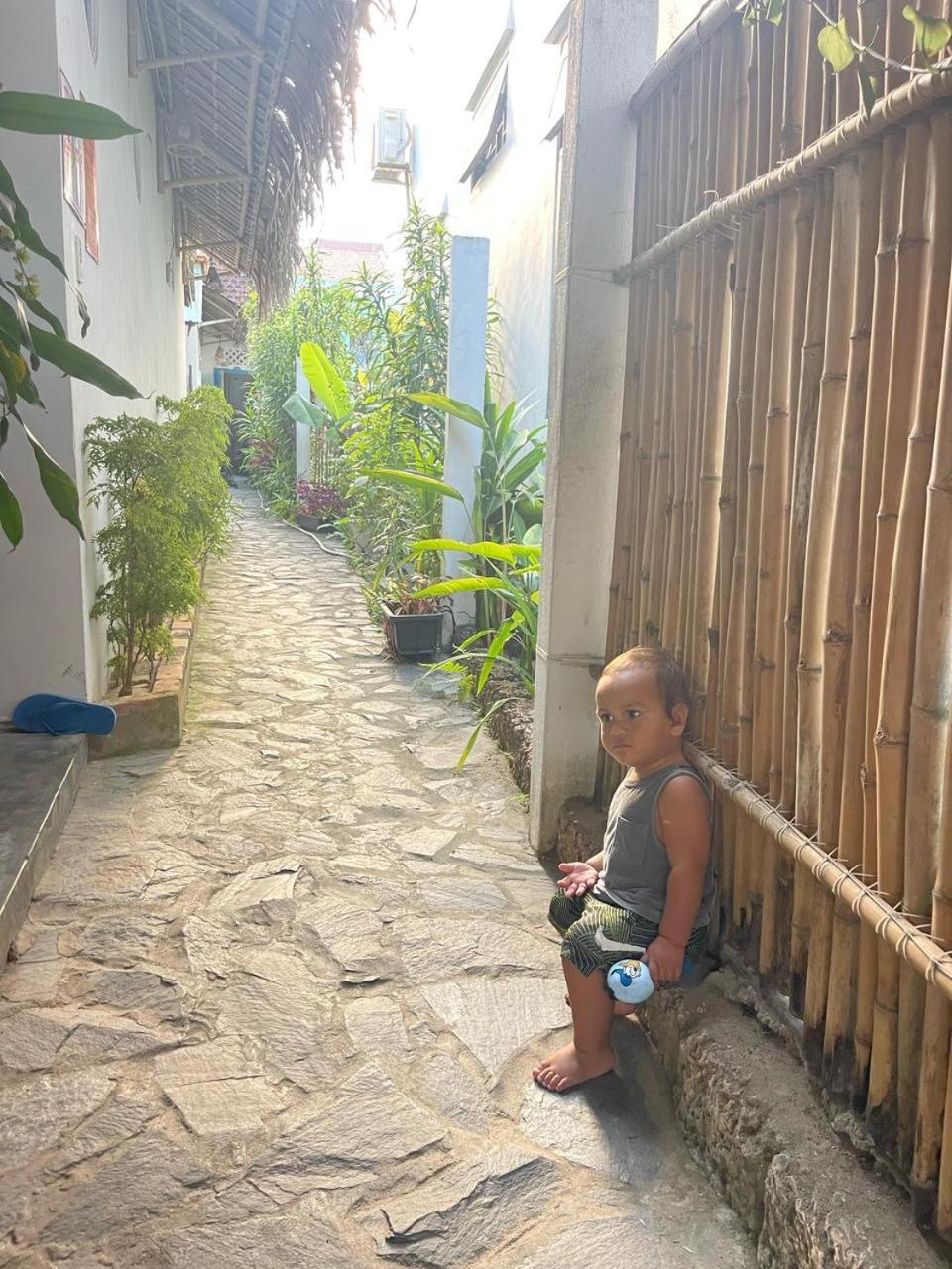 Cashew Tree Bed & Breakfast Hoi An