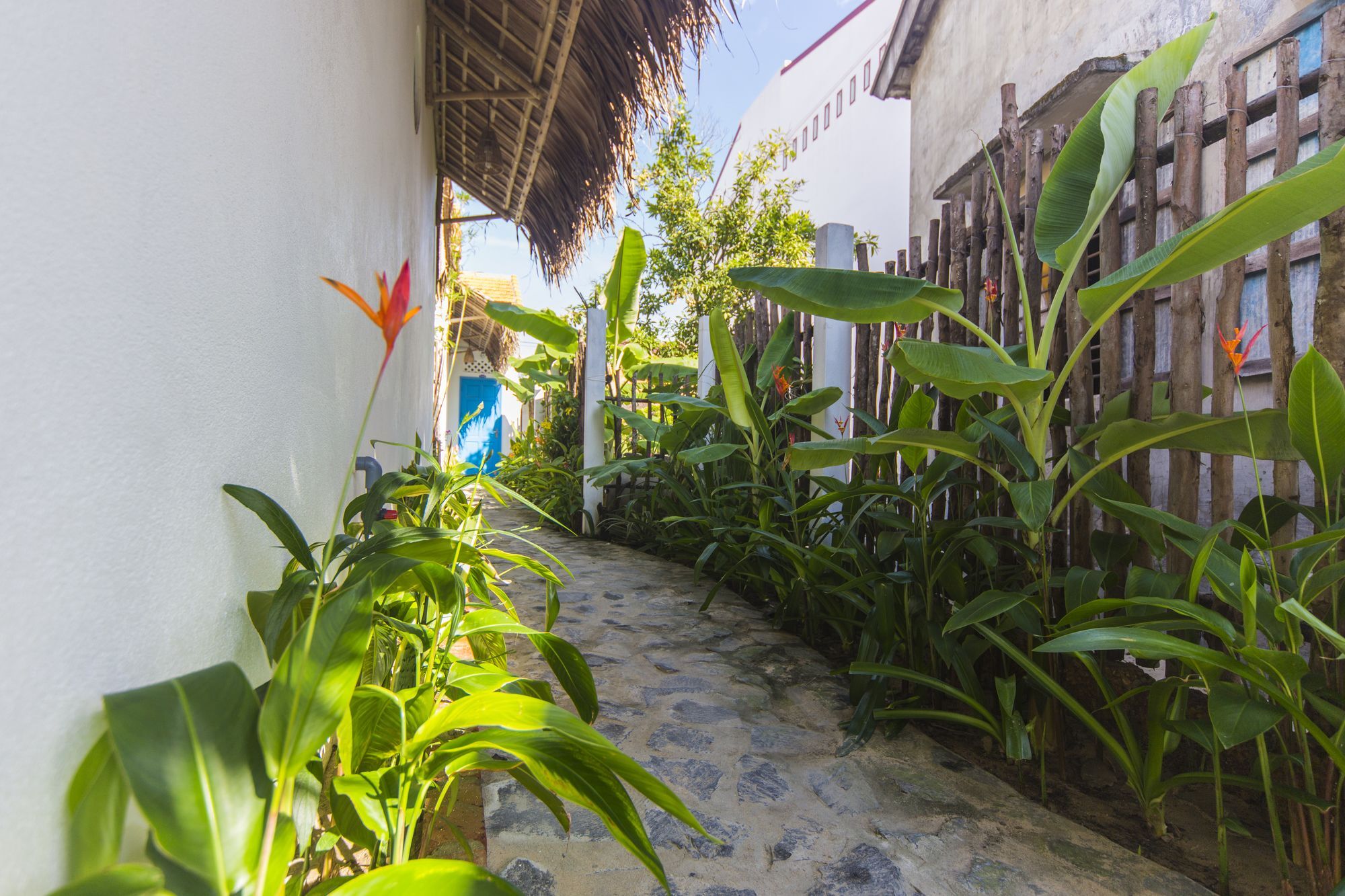 बिस्तर और नाश्ता Cashew Tree Hoi An