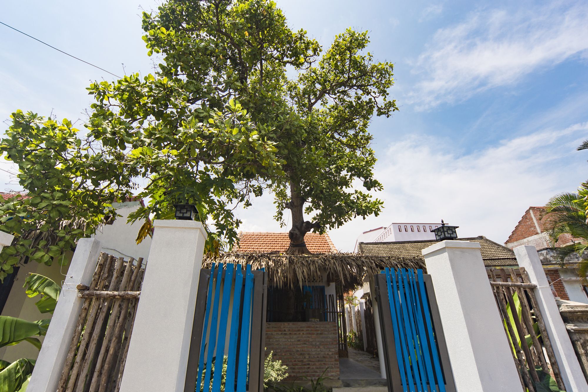बिस्तर और नाश्ता Cashew Tree